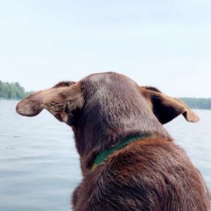 Meet your Posher, Erica